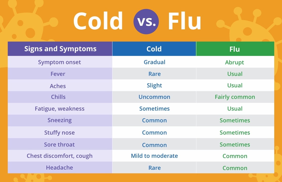 Flu Symptoms January 2024 Uk Lisa Leeanne