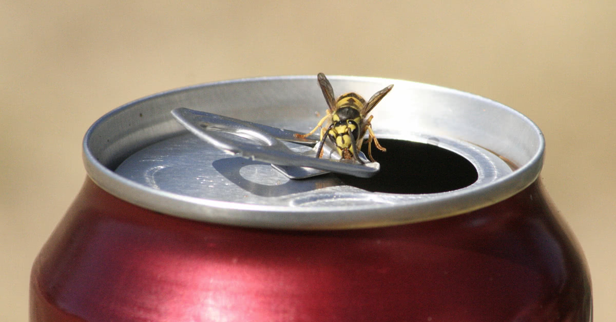 Eight Tips To Avoid Bee Stings