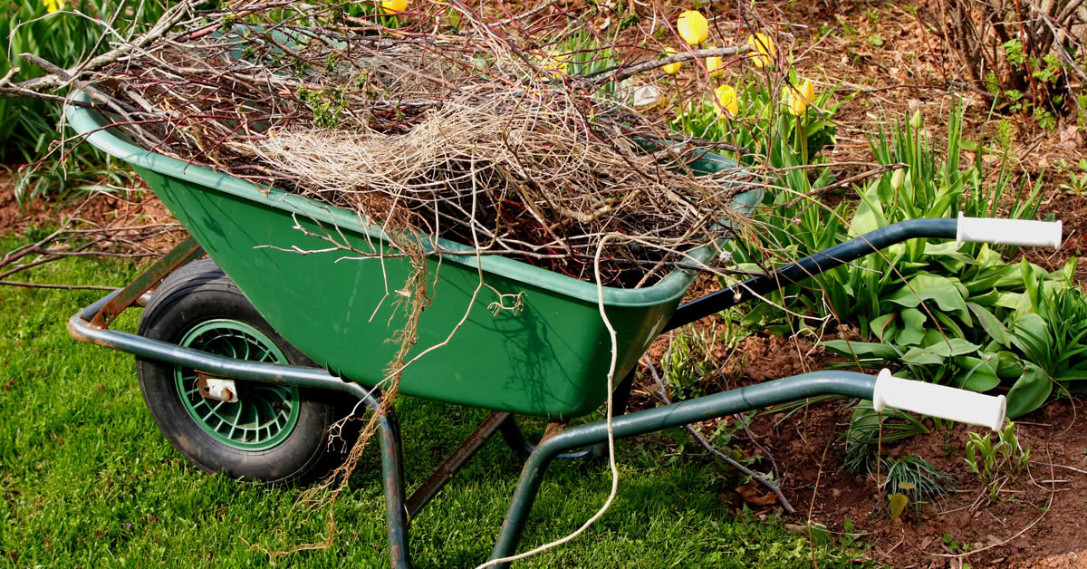 Yardwork Safety Tips